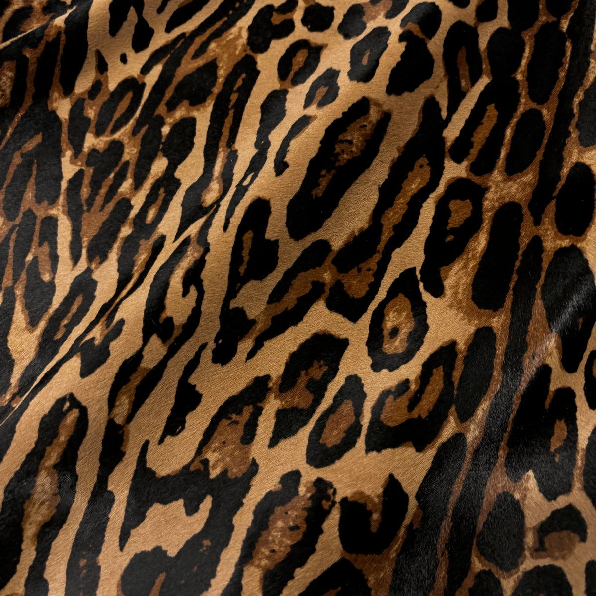 Cavalino Hair-On Leopard | Short Hair