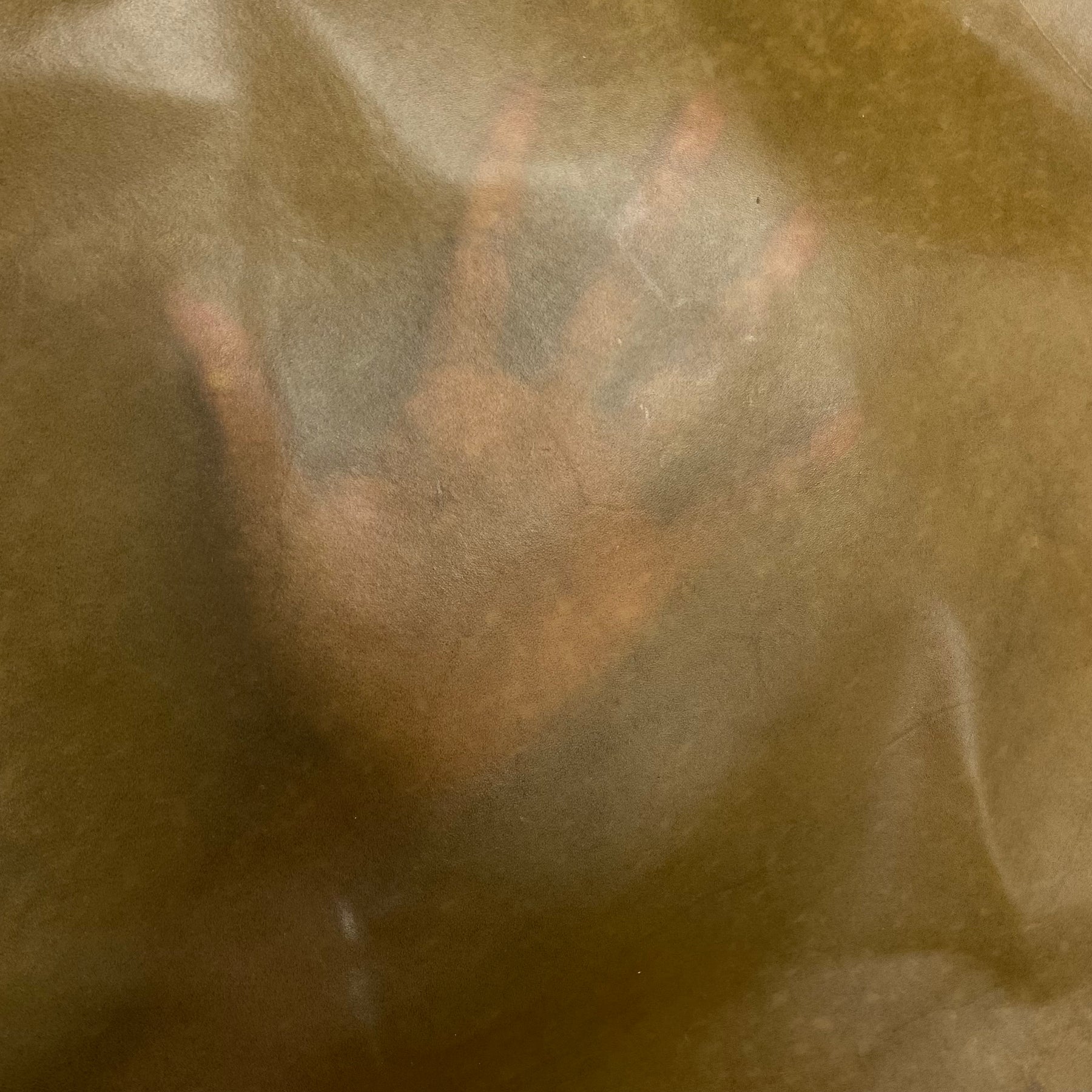 Transparent Horse Leather