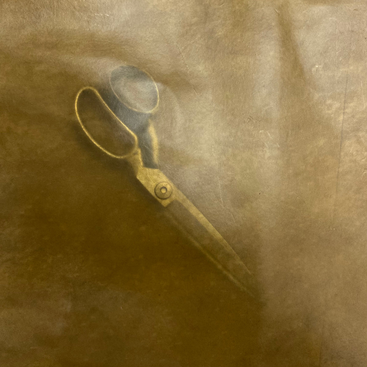 Transparent Horse Leather