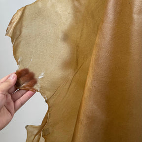 Italian Transparent Horse Leather | ONLY 5 HIDES LEFT!
