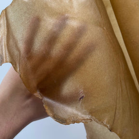 Italian Transparent Horse Leather | ONLY 5 HIDES LEFT!