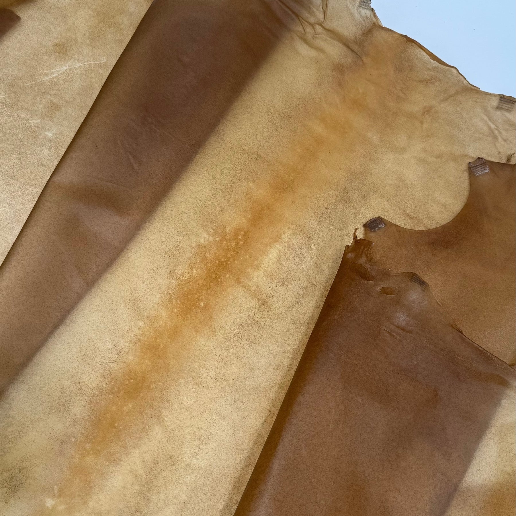 Italian Transparent Horse Leather | ONLY 5 HIDES LEFT!
