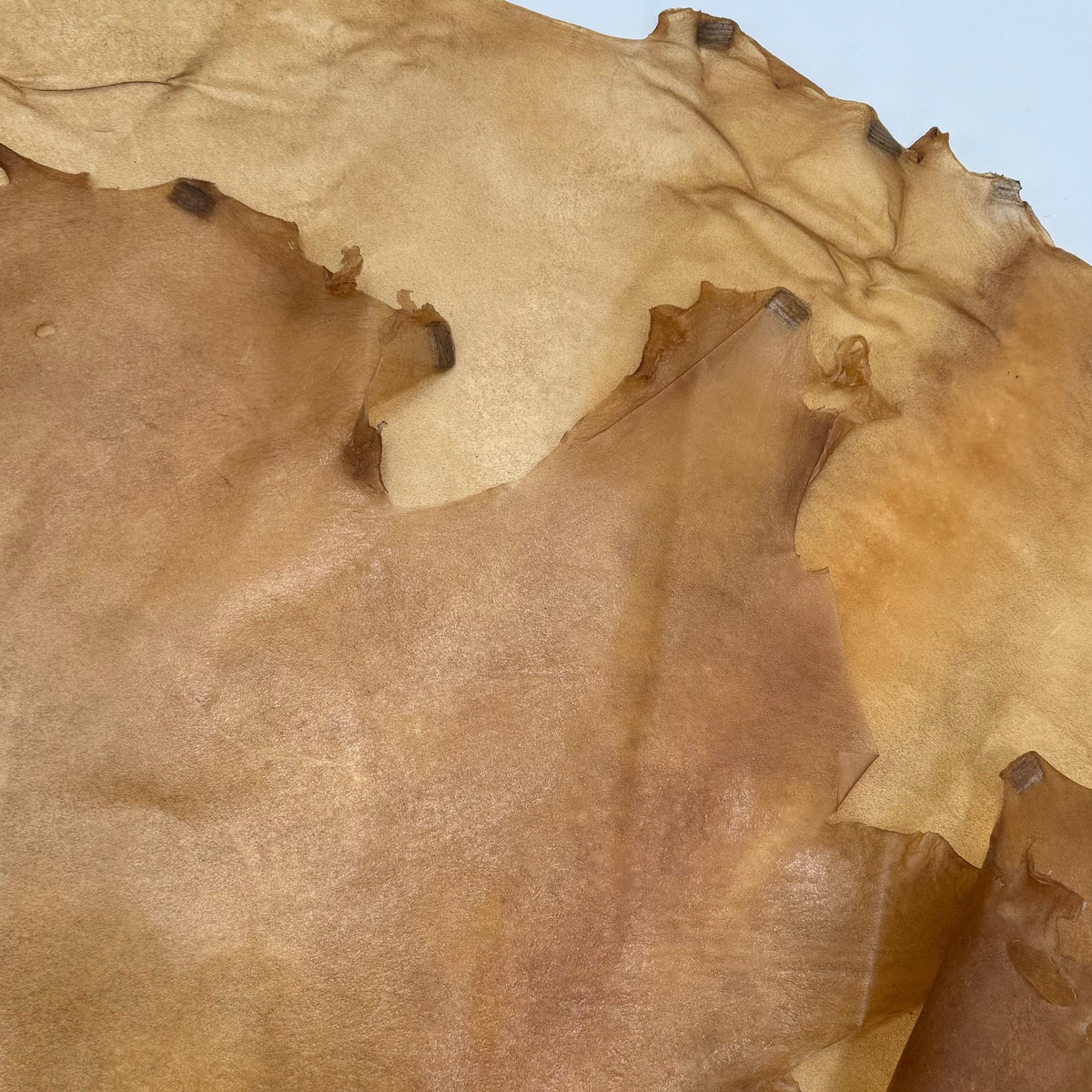 Italian Transparent Horse Leather