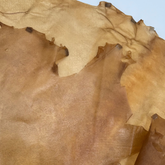Transparent Horse Leather