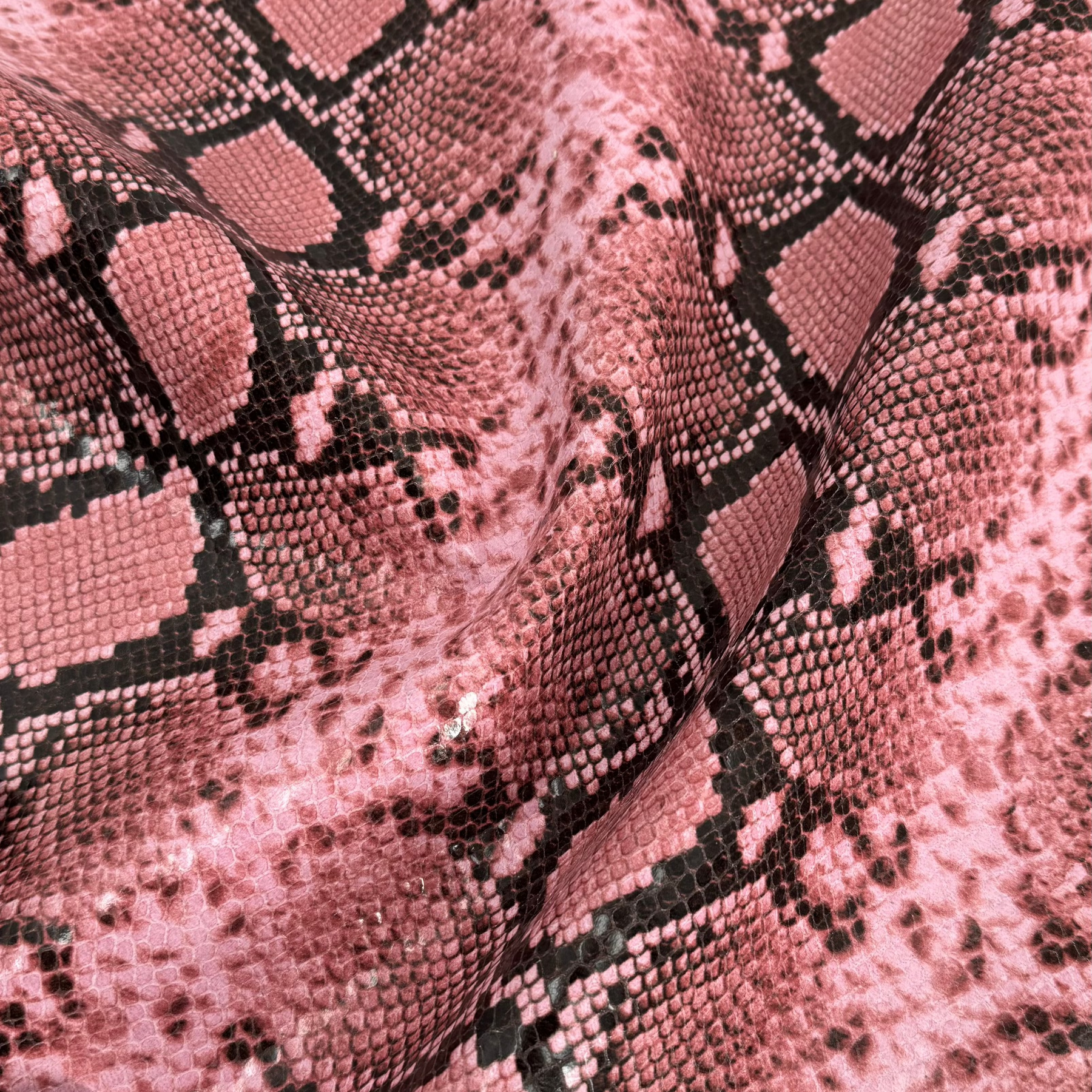 Python Embossed Goat | Ships in 2 weeks
