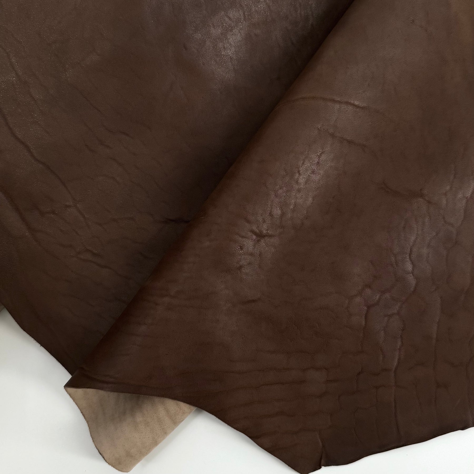 Homage Horse Leather