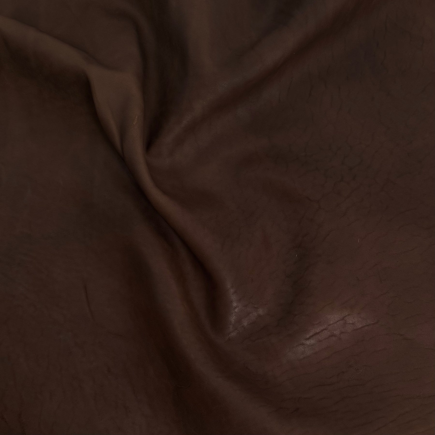Homage Horse Leather