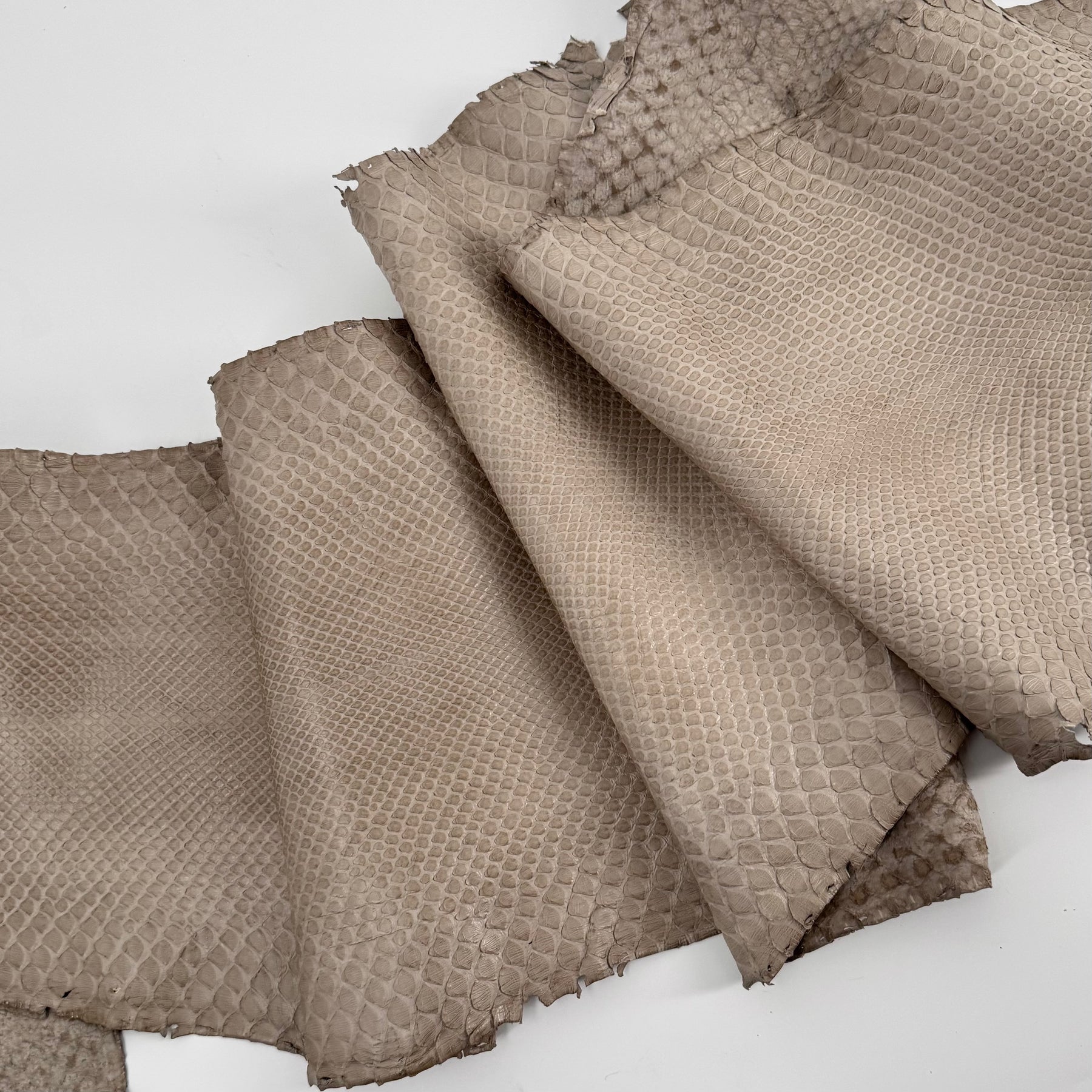 Python Genuine Leather