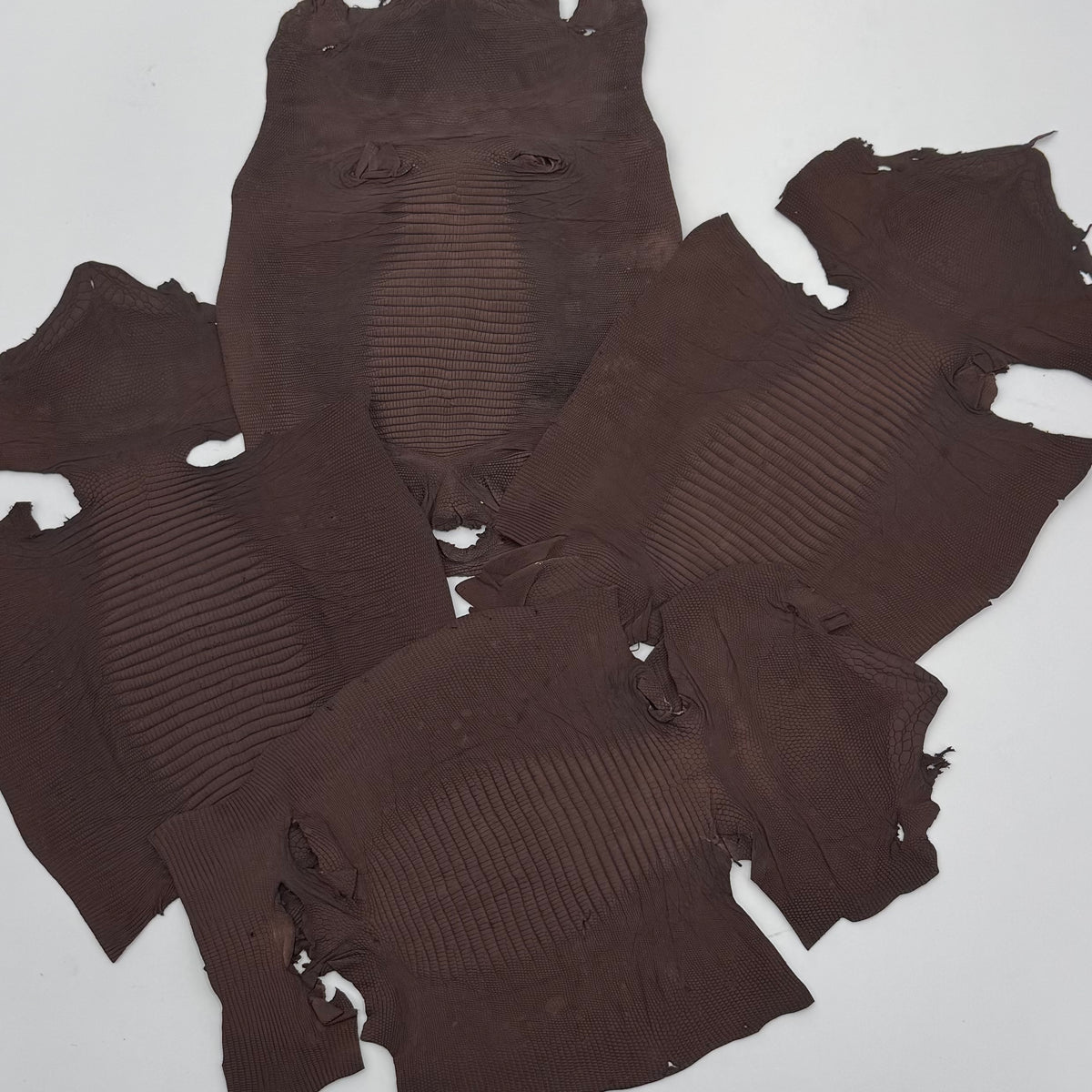 Dark Brown Lizard Skin Grade 2 | Bundle of 4 | SALE