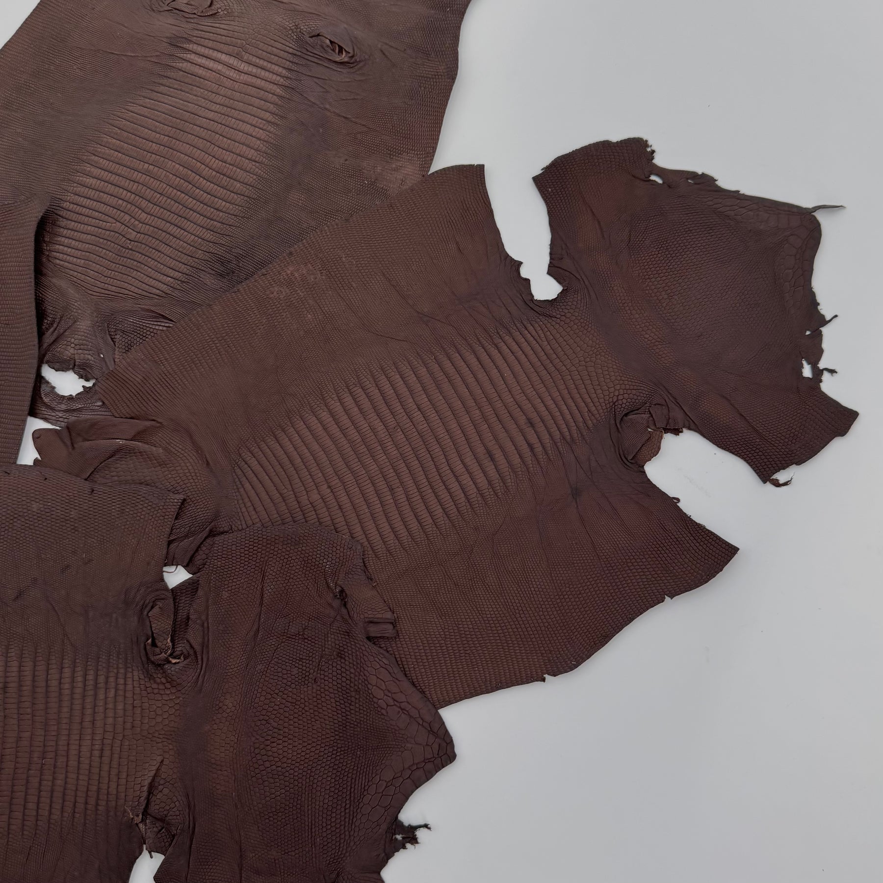 Dark Brown Lizard Skin Grade 2 | Bundle of 4 | SALE