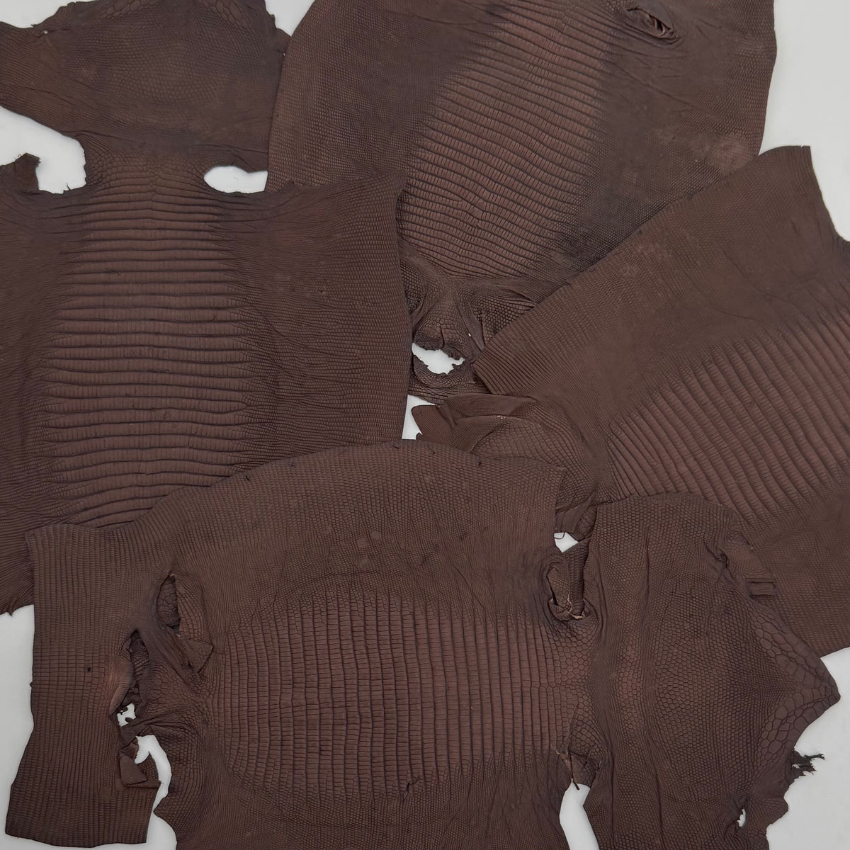 Dark Brown Lizard Skin Grade 2 | Bundle of 4 | SALE