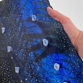 Transparent Sturgeon Plates | One-Of-A-Kind