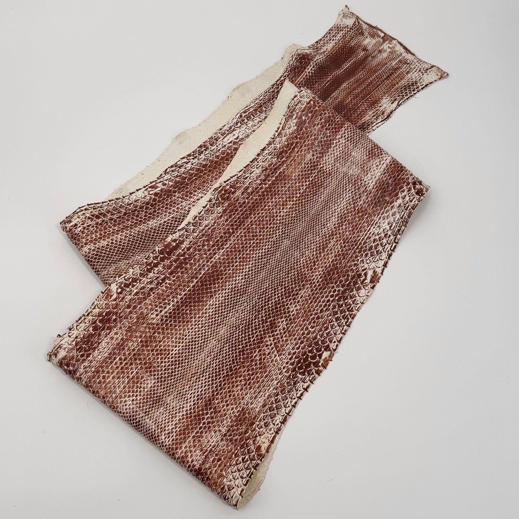 Cinnamon Glazed Python Long Tail | ONLY 2 AVAILABLE | Sale