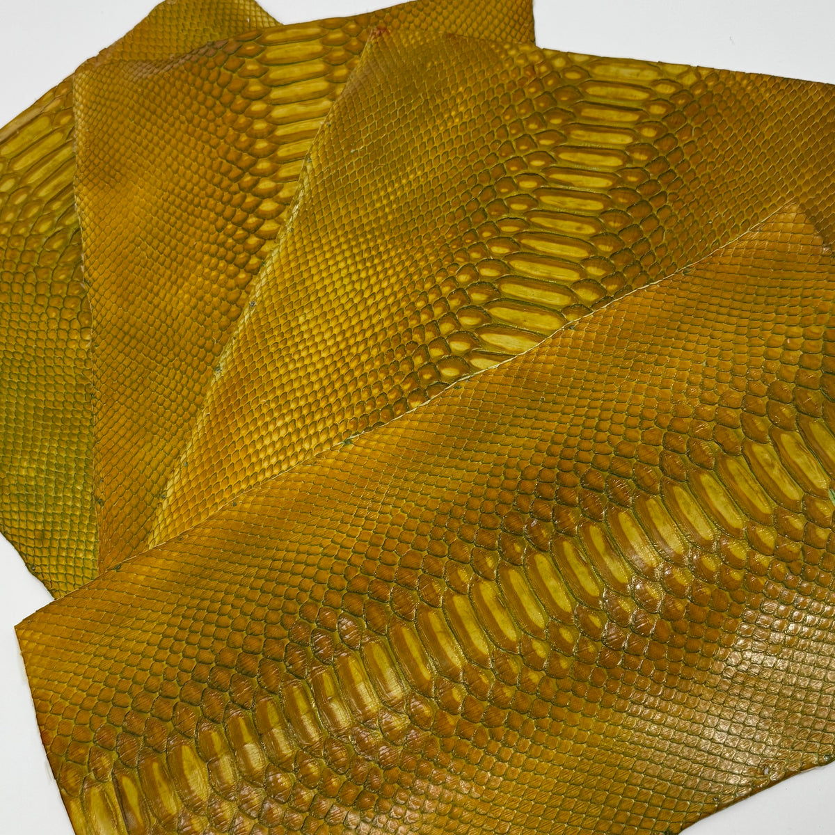 Bundle of 4 Python Cut Pieces | Only 1 Available | SALE