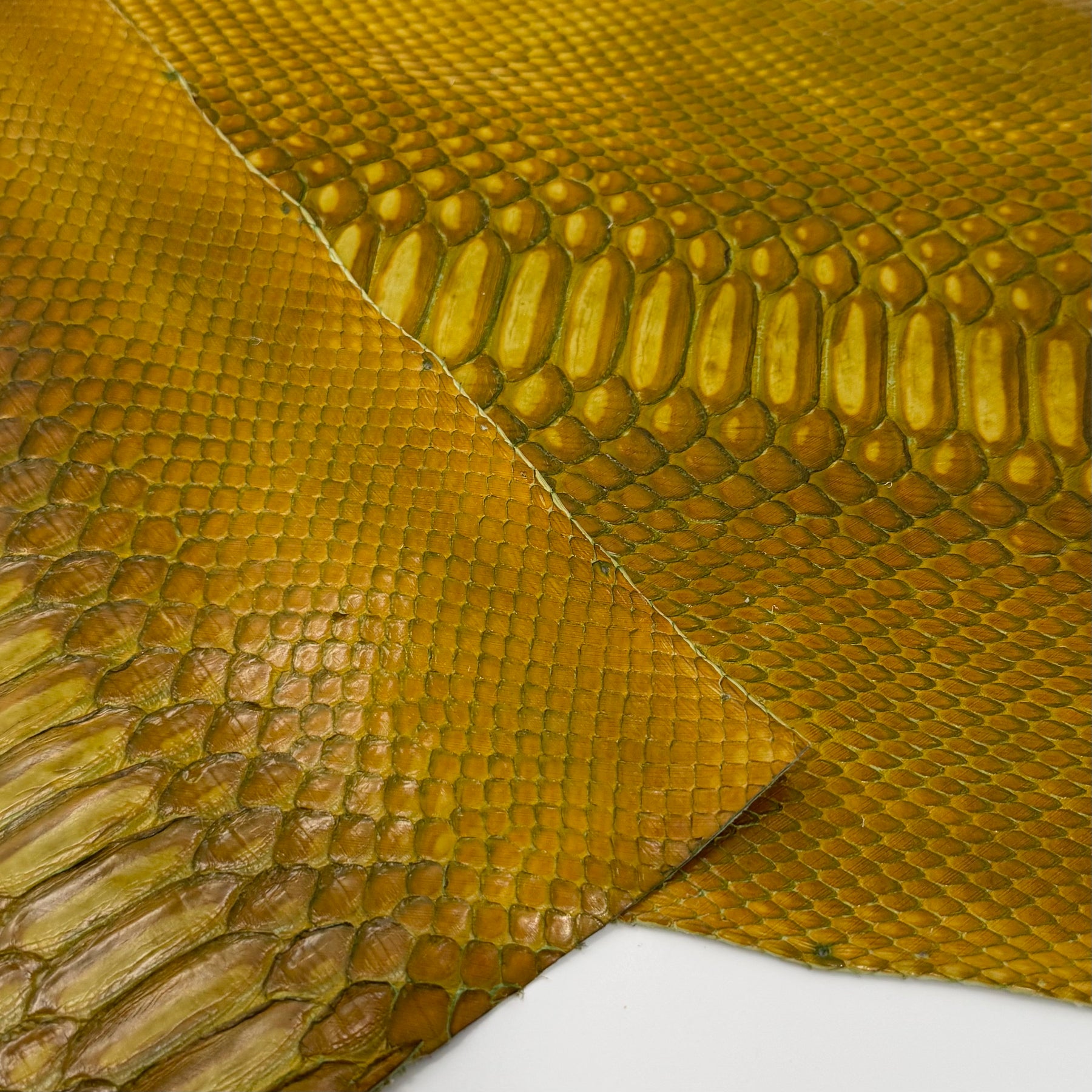 Bundle of 4 Python Cut Pieces | Only 1 Available | SALE