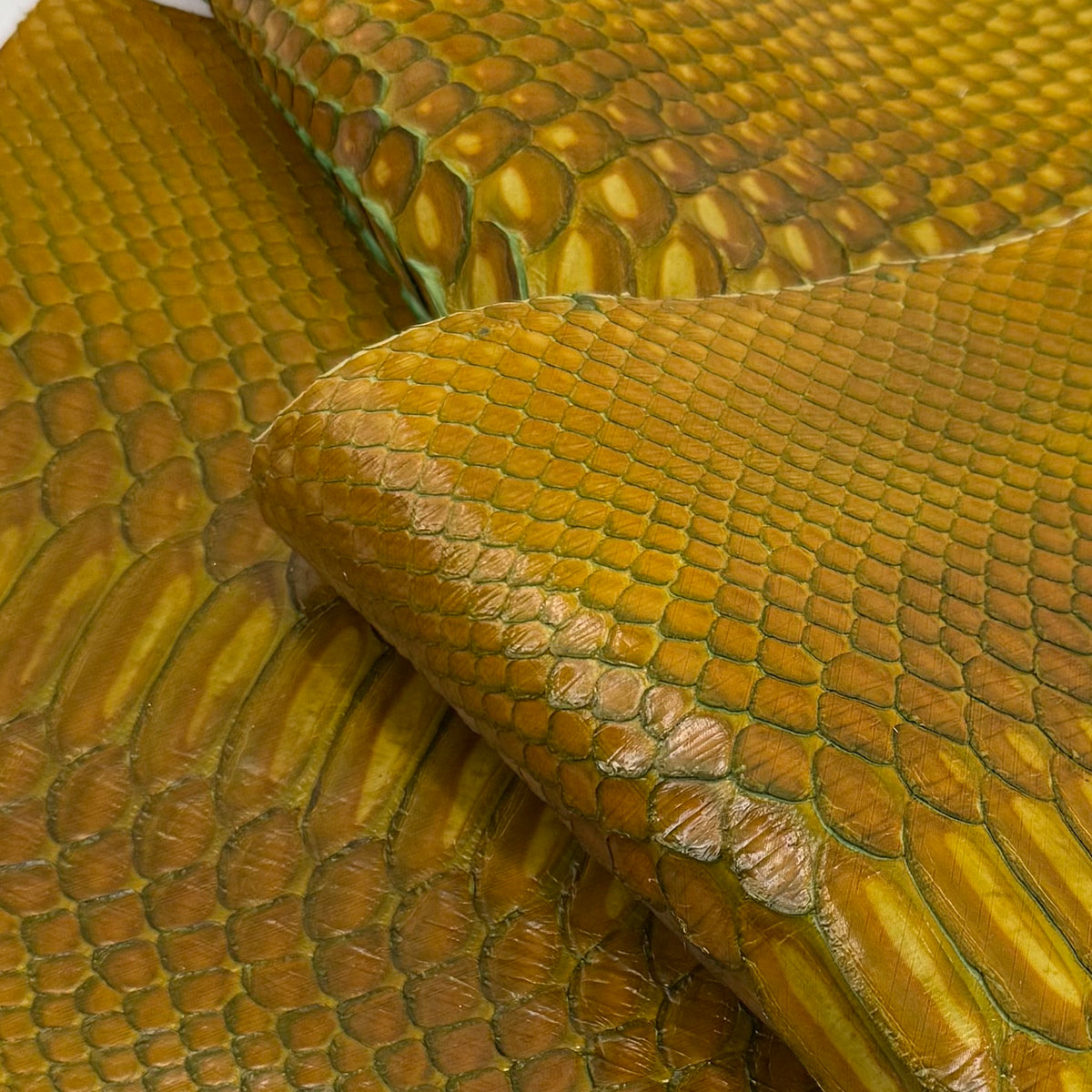 Bundle of 4 Python Cut Pieces | Only 1 Available | SALE