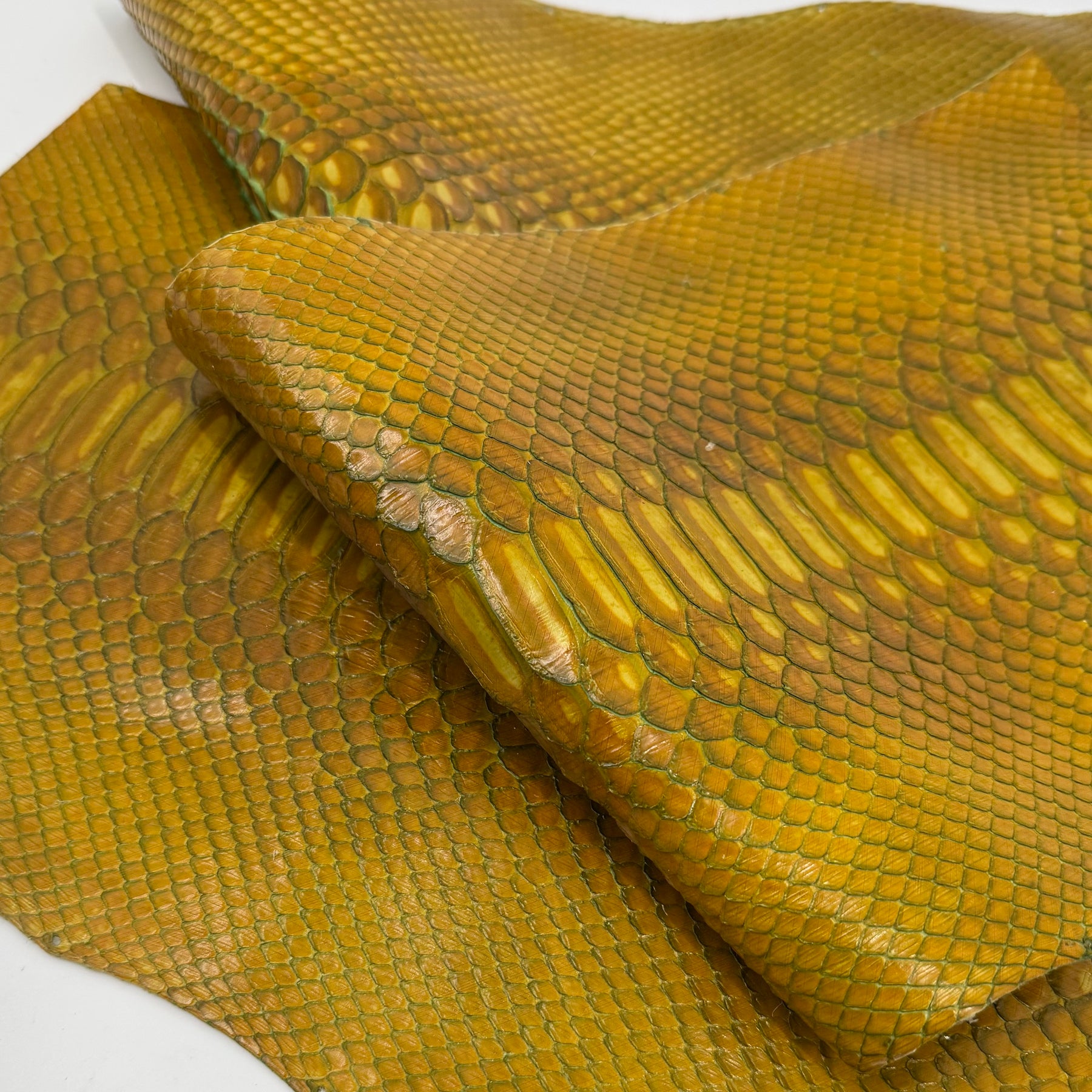 Bundle of 4 Python Cut Pieces | Only 1 Available | SALE
