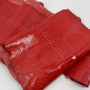 Burnt Orange Python Long Tail | ONLY 1 AVAILABLE | Sale