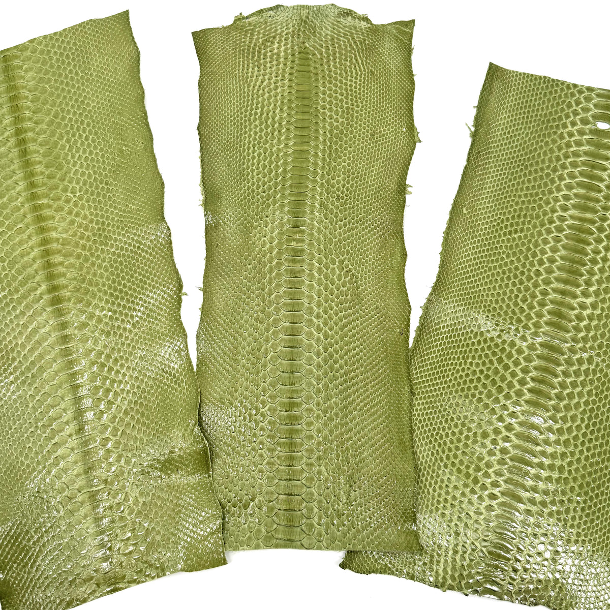 Apple Glazed Python Cuts | Bundle of 3 #1 | Sale