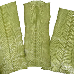 Apple Glazed Python Cuts | Bundle of 3 #1 | Sale