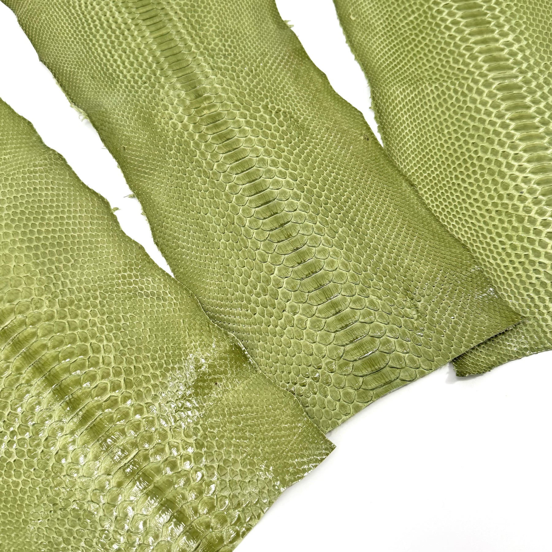 Apple Glazed Python Cuts | Bundle of 3 #1 | Sale