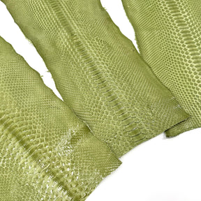 Apple Glazed Python Cuts | Bundle of 3 #1 | Sale