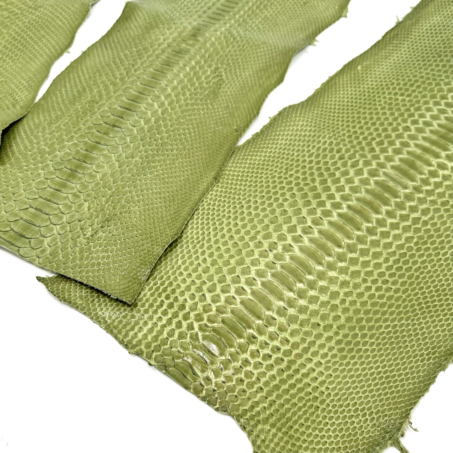 Apple Glazed Python Cuts | Bundle of 3 #1 | Sale