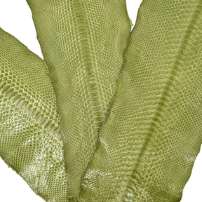 Apple Glazed Python Cuts | Bundle of 3 #1 | Sale