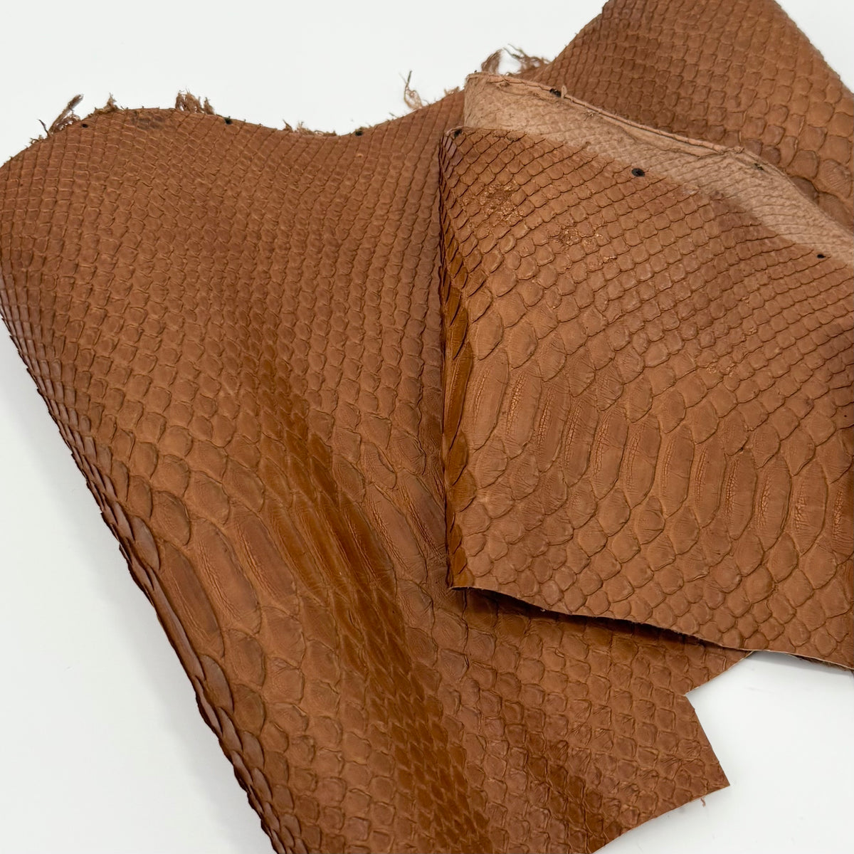 Cognac Short Tail Python Cut | Sale