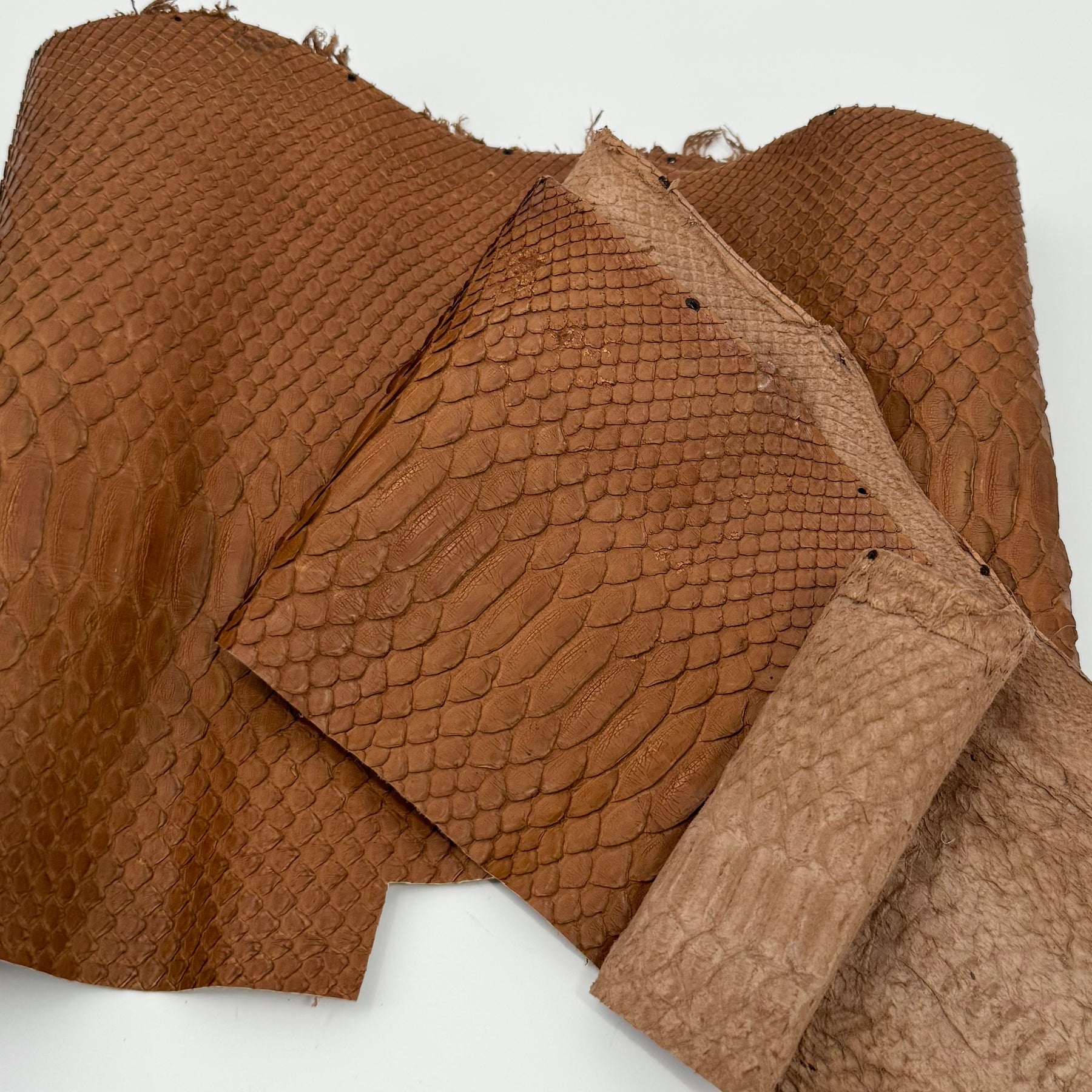 Cognac Short Tail Python Cut | Sale