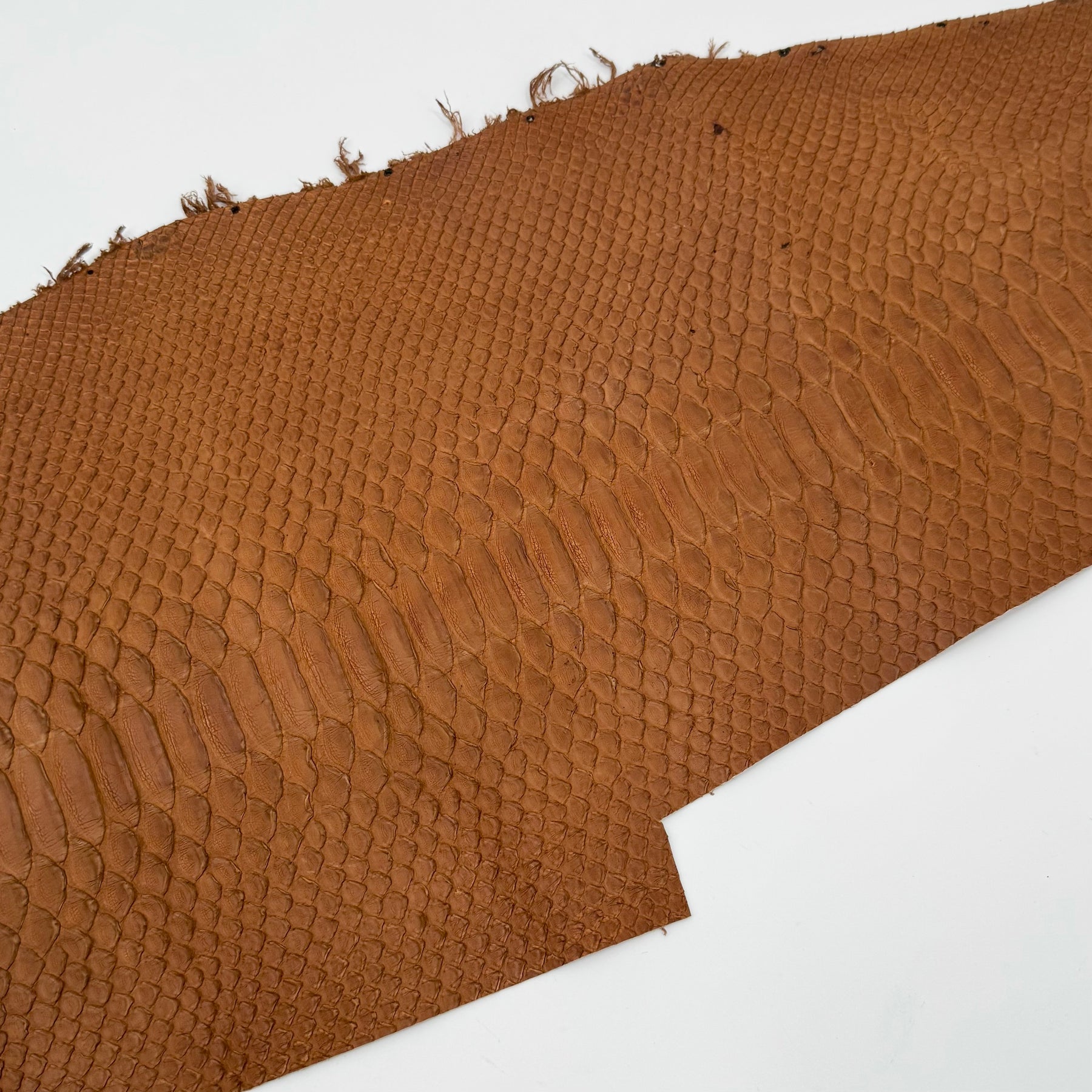 Cognac Short Tail Python Cut | Sale
