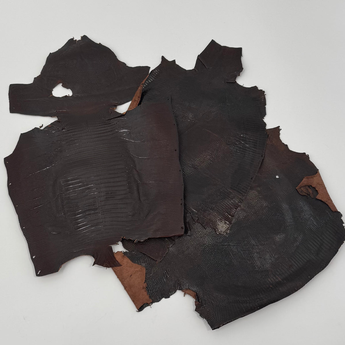 Glazed Dark Brown Lizard Skin Grade 2 | Bundle of 3 - B#1 | SALE