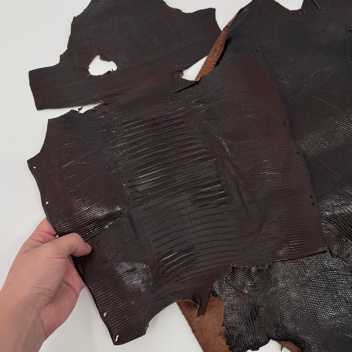 Glazed Dark Brown Lizard Skin Grade 2 | Bundle of 3 - B#1 | SALE