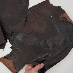 Glazed Dark Brown Lizard Skin Grade 2 | Bundle of 3 - B#1 | SALE