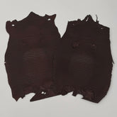 Brown Lizard Skin | Bundle of 2 - B#2 | SALE