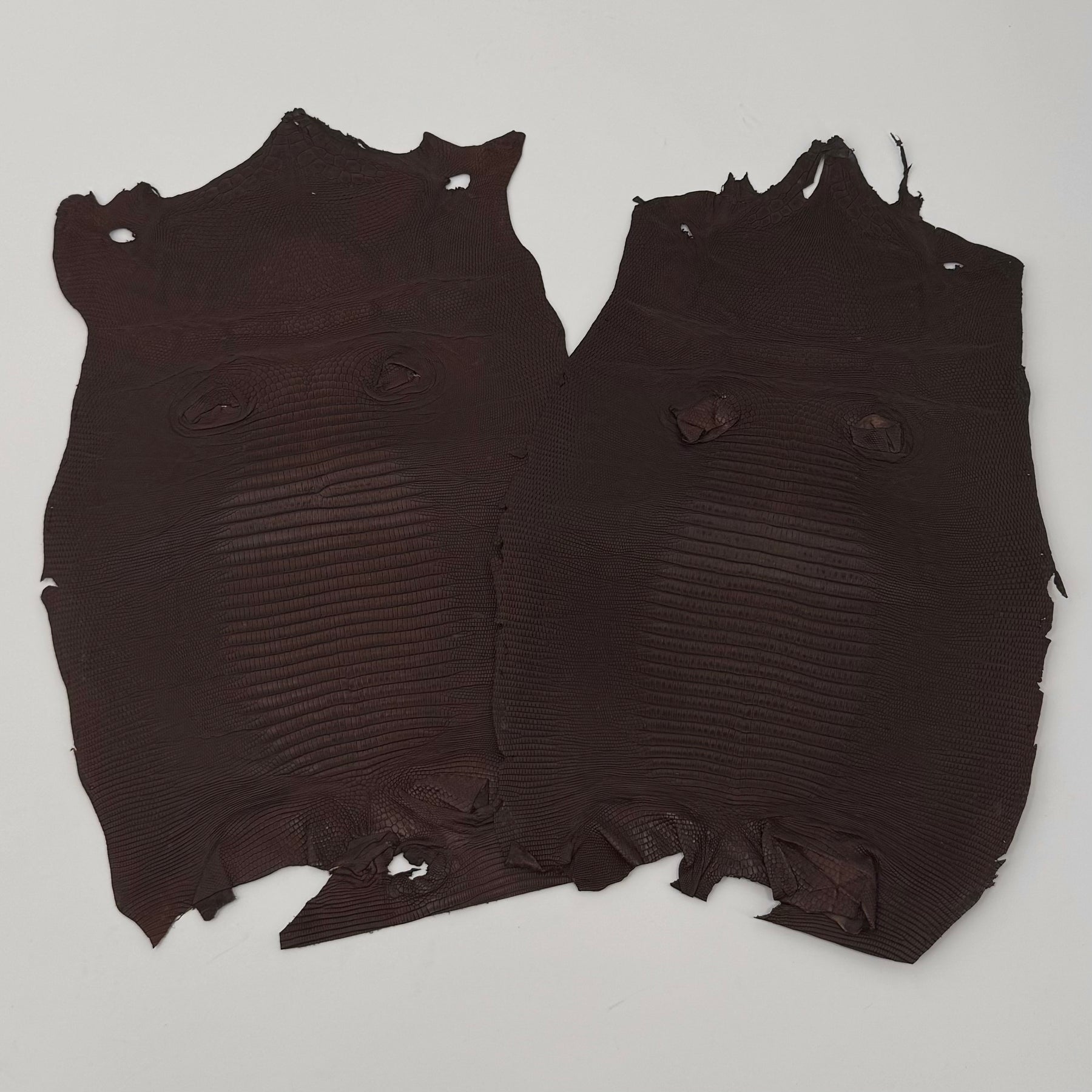 Brown Lizard Skin | Bundle of 2 - B#2 | SALE