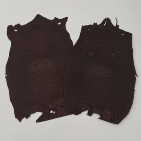 Brown Lizard Skin | Bundle of 2 - B#2 | SALE