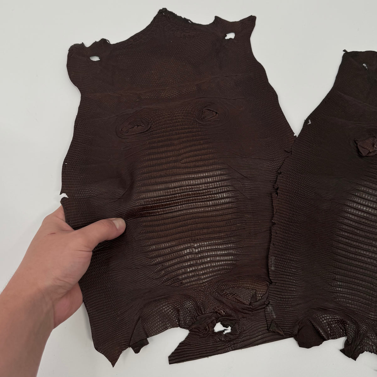 Brown Lizard Skin | Bundle of 2 - B#2 | SALE