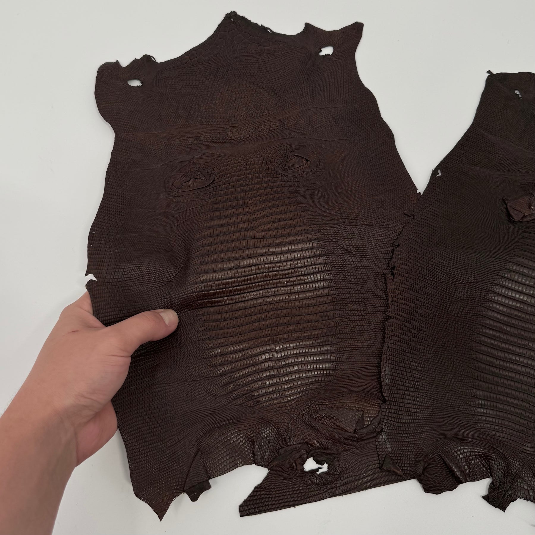 Brown Lizard Skin | Bundle of 2 - B#2 | SALE