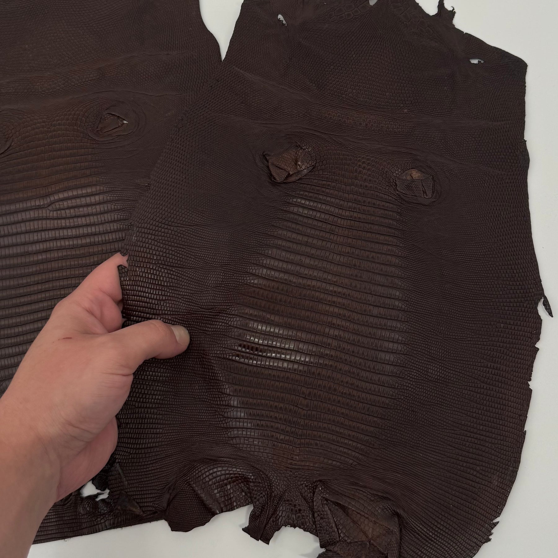 Brown Lizard Skin | Bundle of 2 - B#2 | SALE
