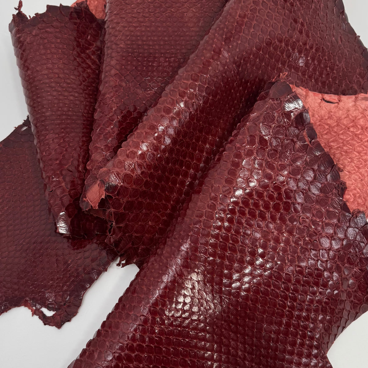 Glazed Red Extra Wide Python Cut | Sale