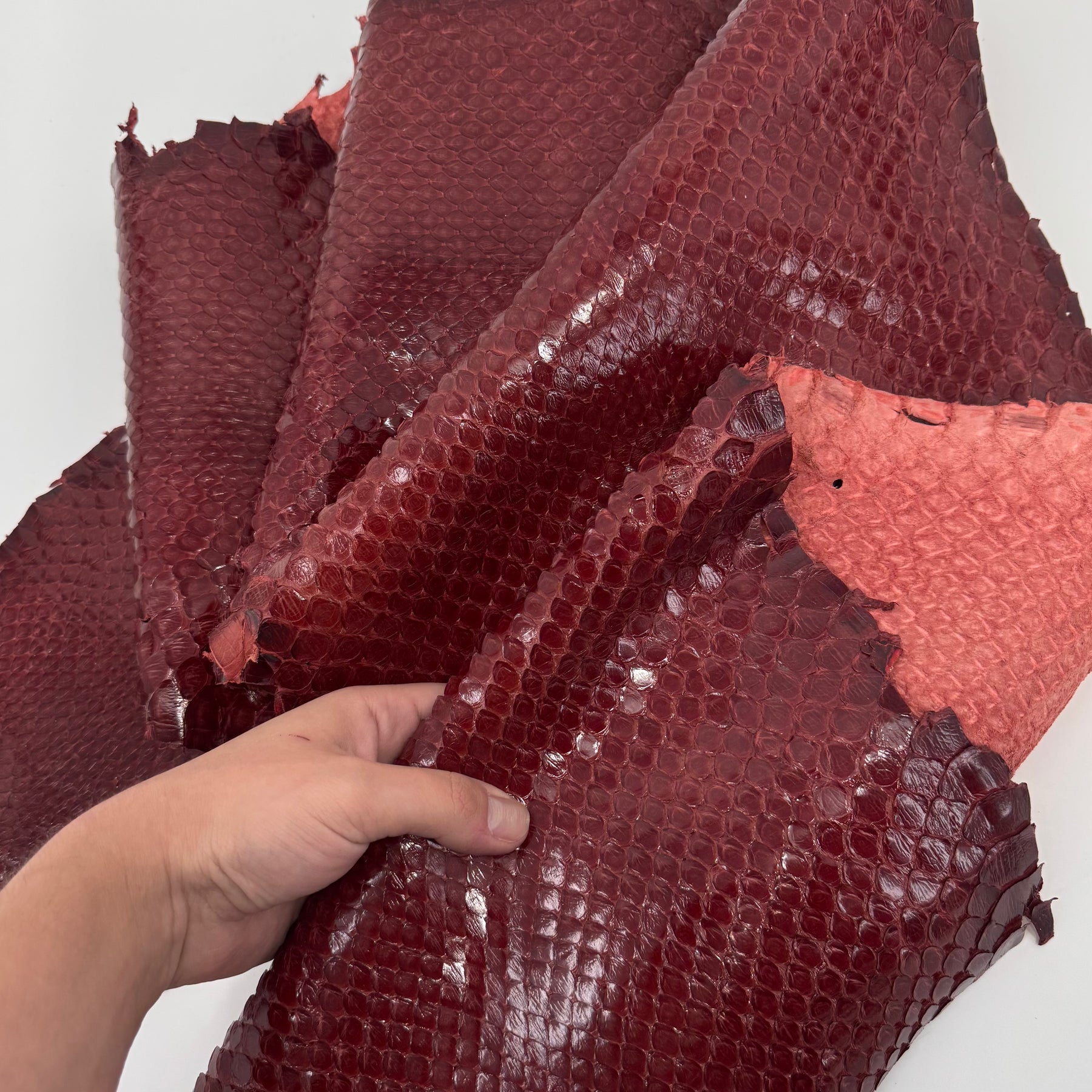 Glazed Red Extra Wide Python Cut | Sale