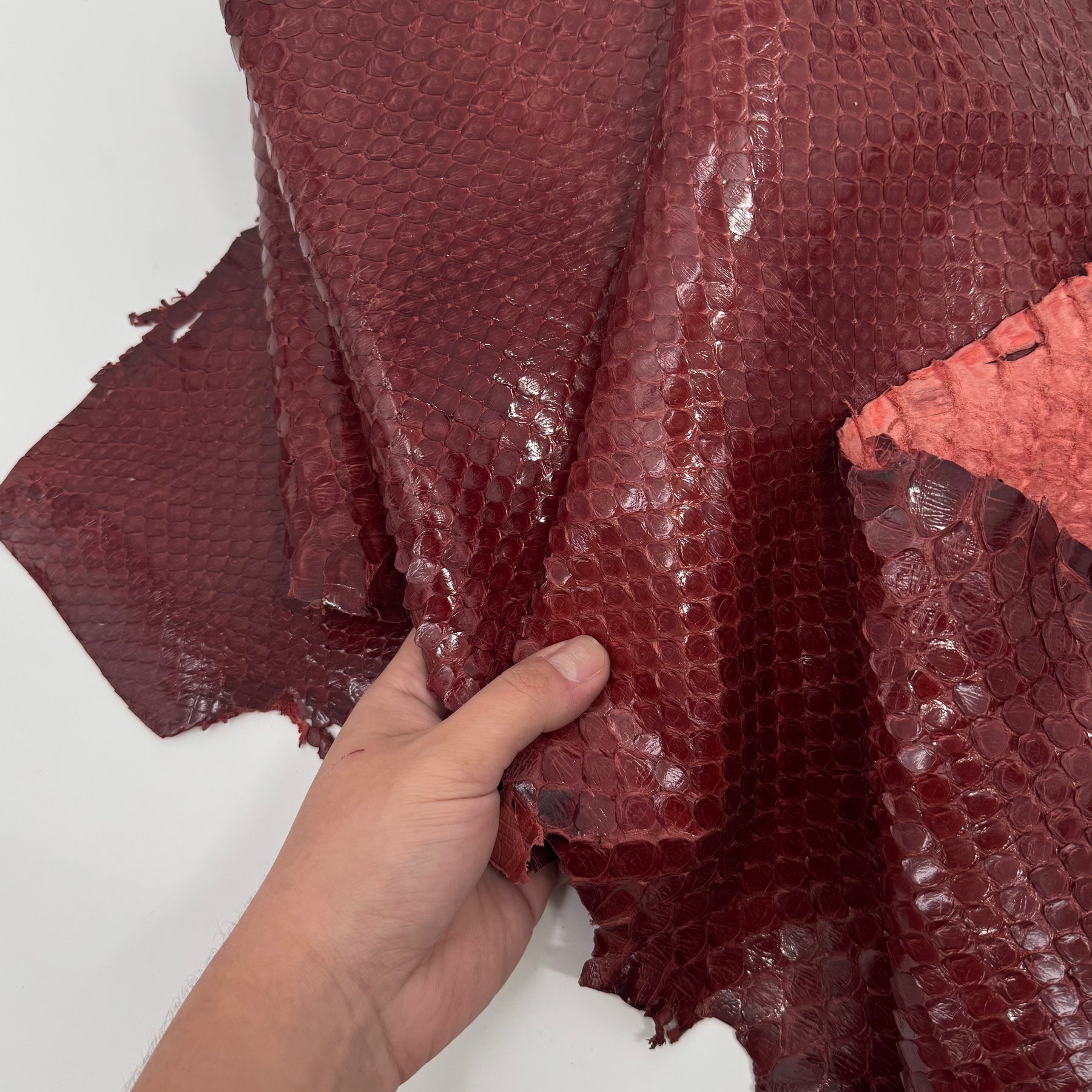 Glazed Red Extra Wide Python Cut | Sale