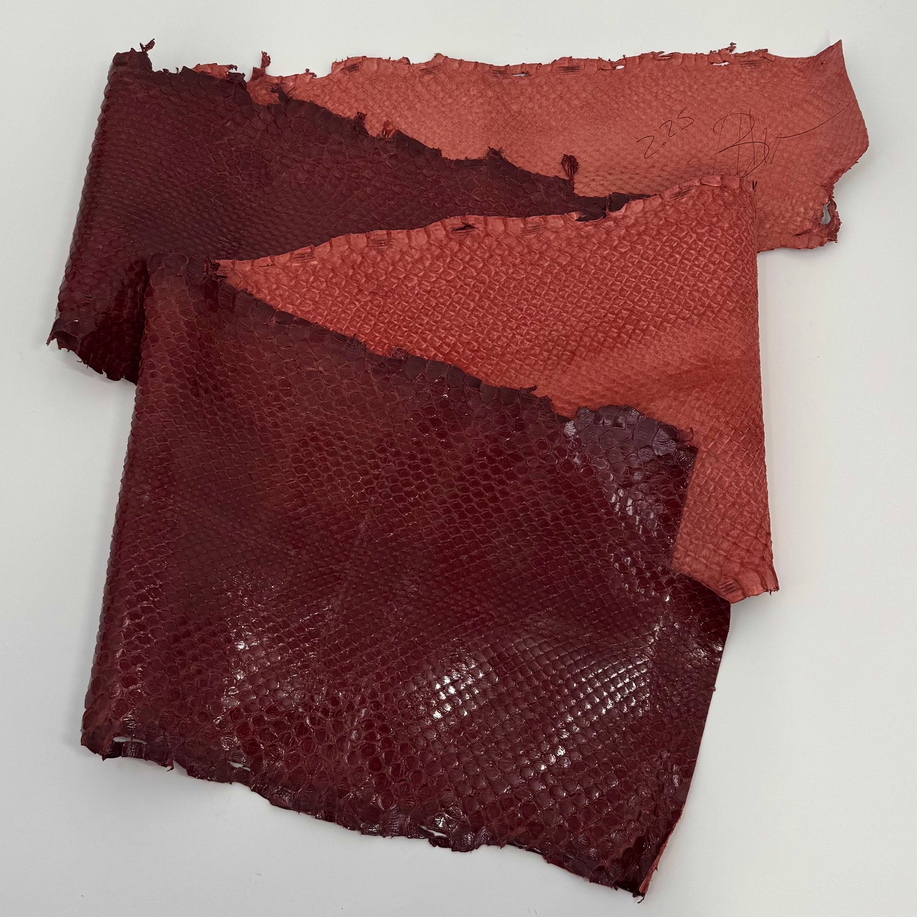 Glazed Red Extra Wide Python Cut | Sale