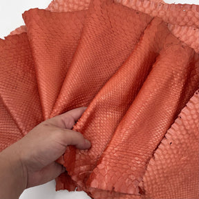 Pearlized Peach Python | Only 3 available | Sale