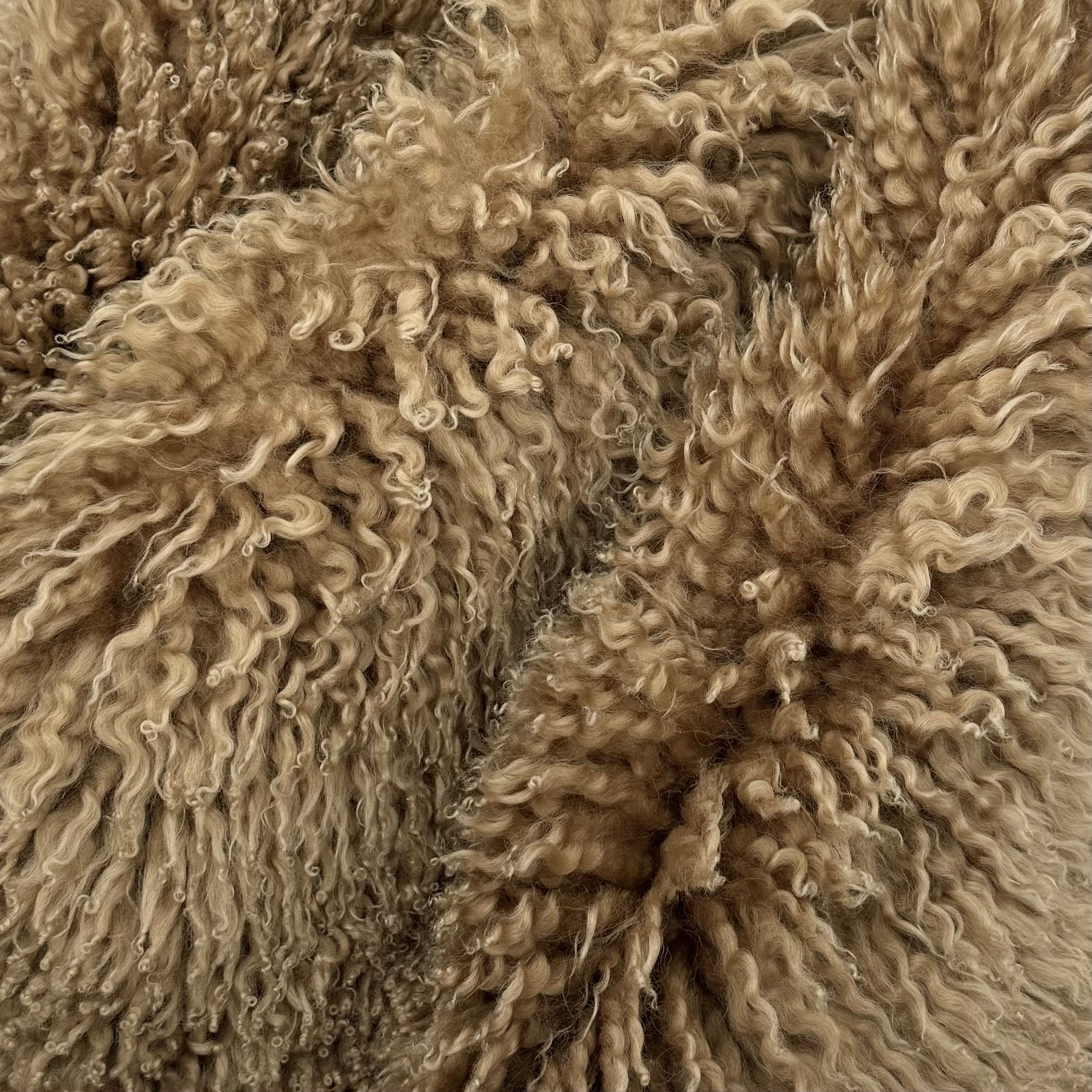 Skandilock Curly Longwool New Zealand
