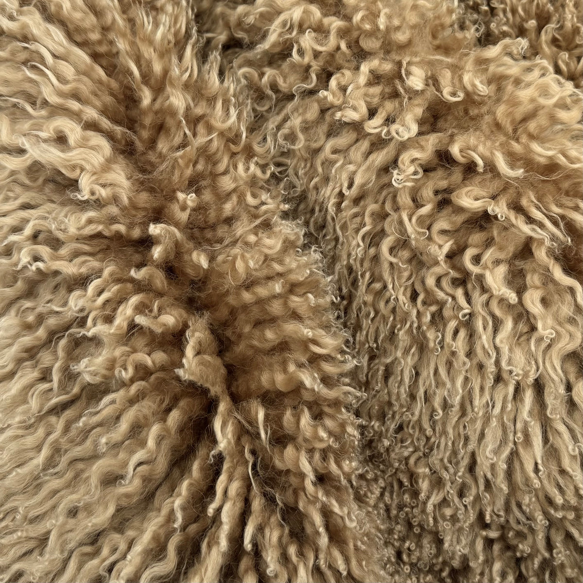 Skandilock Curly Longwool New Zealand | Ships in 3 weeks