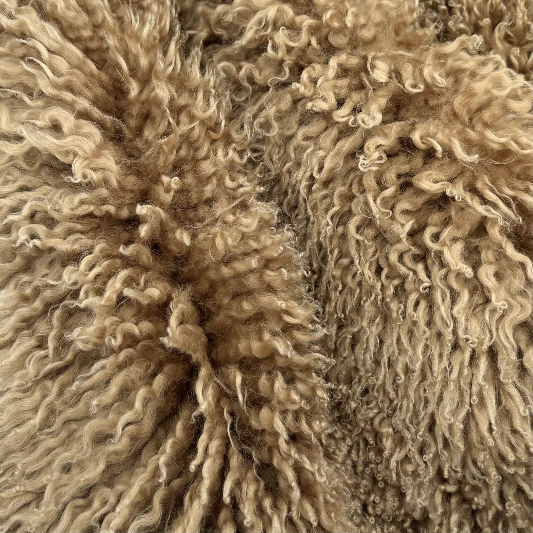 Skandilock Curly Longwool New Zealand
