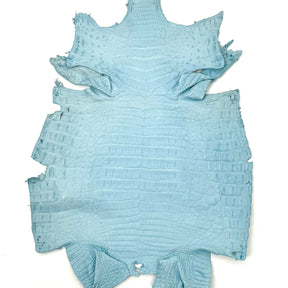Sky Blue Caiman Crocodile - Only 1 Available! | SALE