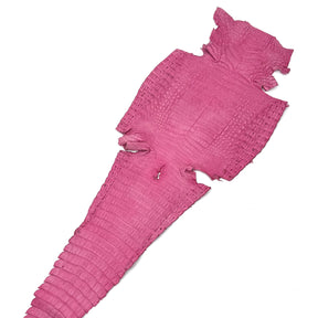 Pink Caiman Crocodile - Only 1 Available! | SALE